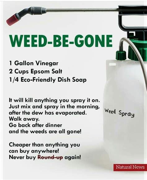 Dawn Vinegar Epsom Salt Weed Killer Recipe