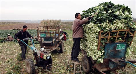 China May Let Peasants Sell Rights to Farmland - The New York Times