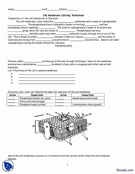 Cell Membrane Structure Worksheets
