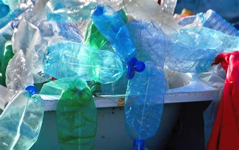 Plastic Water Bottle Pollution: Where Do All The Bottles End Up? - Areas of My Expertise