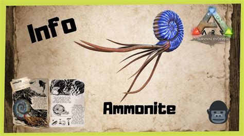 🦖ARK‬ Survival Evolved 🦖 Ammonite Info 2022 [/Taming/INFO/ GUIDE/Deutsch/Dinos zähmen] - YouTube