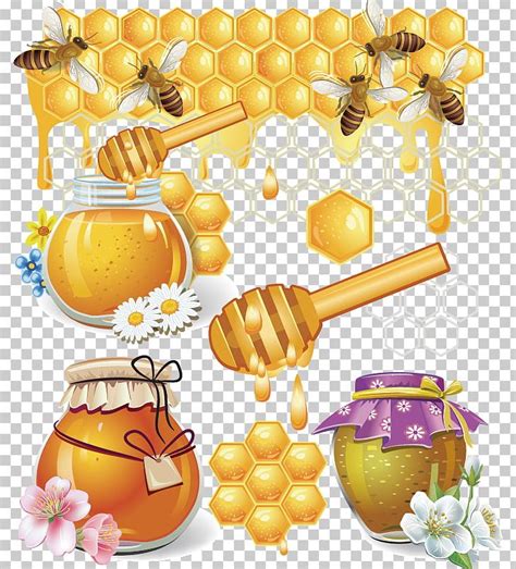 Honey Bee Vector at Vectorified.com | Collection of Honey Bee Vector free for personal use