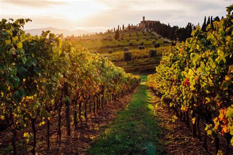 Much More than just a Wine Weekend in Montalcino | MaMaBlip