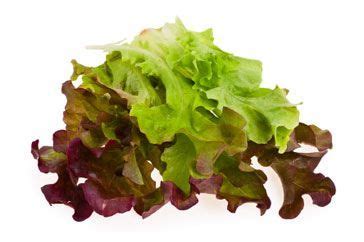 Guide to salad leaves