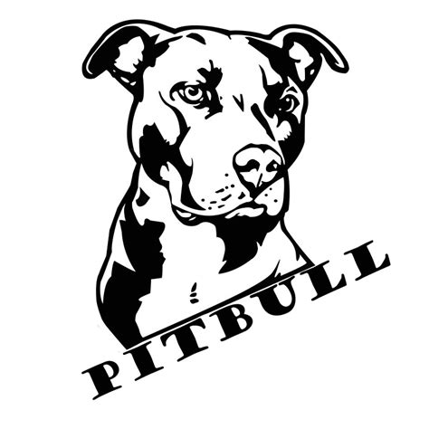 Tattoo: PitBull Tattoos