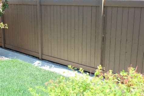 stain vs paint fence - Nevada Bolin