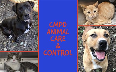 CMPD Animal Care & Control | PHOTOS - WCCB Charlotte's CW