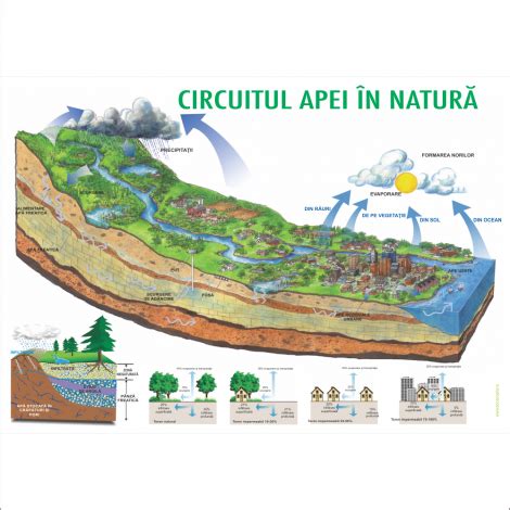 alfabetare.ro - Circuitul apei in natura 2