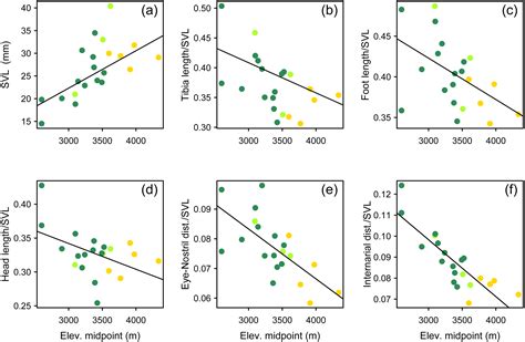 Evolutionary radiation of earless frogs in the Andes: molecular phylogenetics and habitat shifts ...