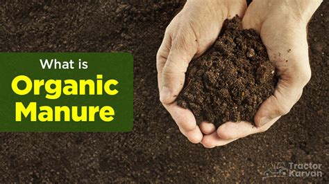 What is Organic Manure, Type & Importance