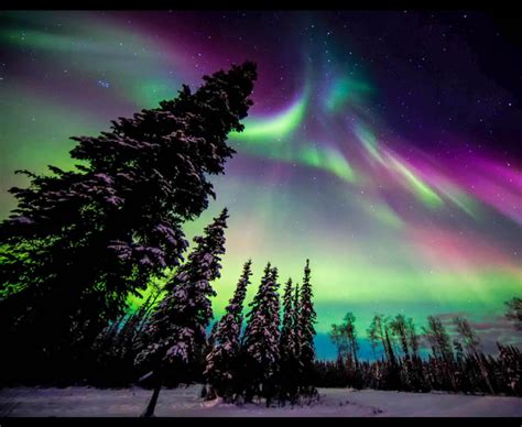 Best Time To Visit Alaska To See Northern Lights Aurora Borealis | Hot ...