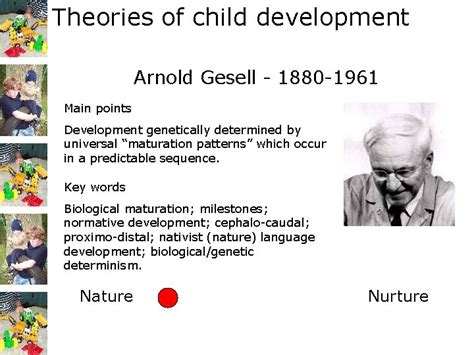 Sale > arnold gesell theory on child development > in stock