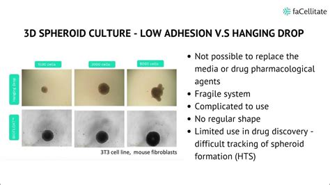 Methods for spheroid culture | 3D Cell culture | Spheroid culture - YouTube