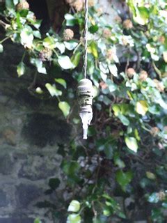 light bulb | old light bulb in the ruins of an old farmyard | aoife mac | Flickr