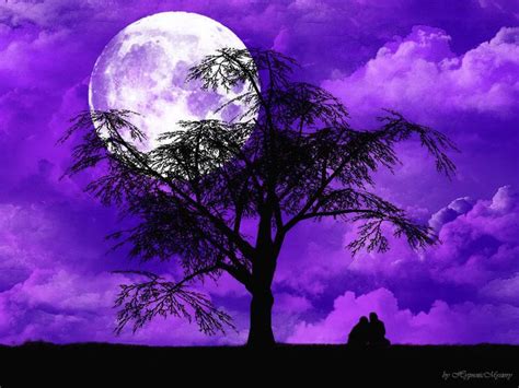 Violet Night Wallpaper | Scenery pictures, Advantages of solar energy, The great outdoors