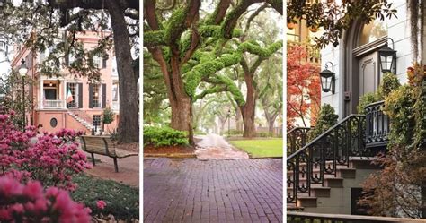 Savannah Weather by Month - Savannah First-Timer's Guide