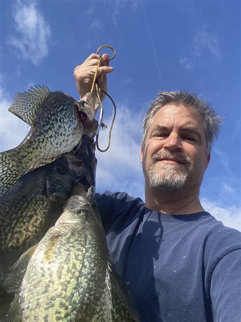 Dandy Don LSU Sports on Twitter: "Mardi Gras Sac-à-lait in White Perch ...