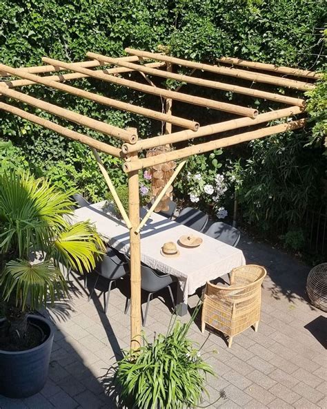 Bamboo Pergolas | Bamboo garden, Bamboo trellis, Pergola