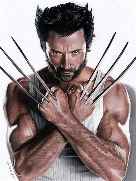 Wolverine Fanart 2 Drawing by Jasmina Susak