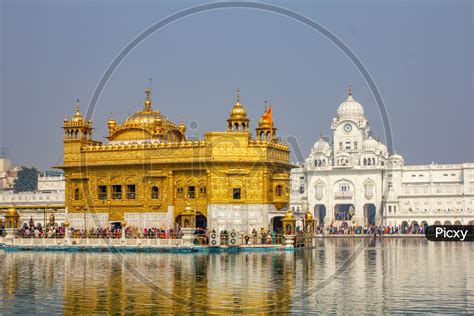 Image of Golden Temple with Reflection-MD546991-Picxy