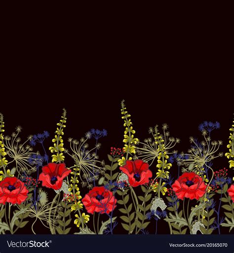 Seamless border with poppies and leaves Royalty Free Vector