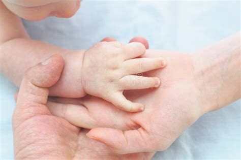 Newborn baby feet on hands stock photo. Image of humanhand - 51548464