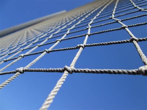 Mesh Perspective 3 Free Stock Photo - Public Domain Pictures