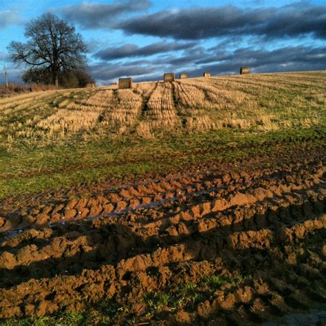 One of my favourite places to be - walking at The Saxon Mill in Warwickshire .... | Warwickshire ...