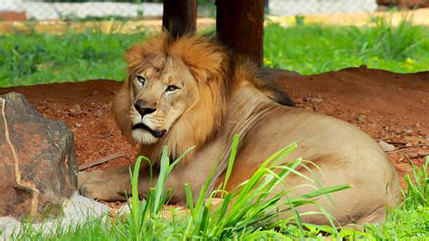 Mysore Zoo Entry Fee