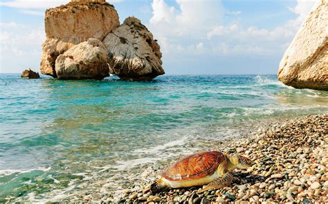 The best things to do in Cyprus, from exhilarating beach hacks to scenic vineyard tours ...