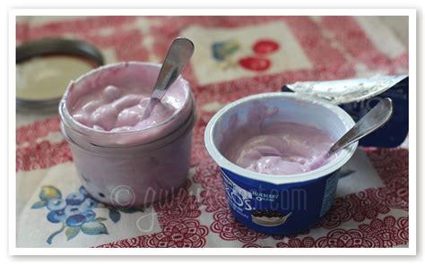 Homemade Fruit Bottom Yogurt Recipe - Gwen's Nest