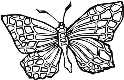 Blank Butterfly Coloring Pages at GetColorings.com | Free printable colorings pages to print and ...