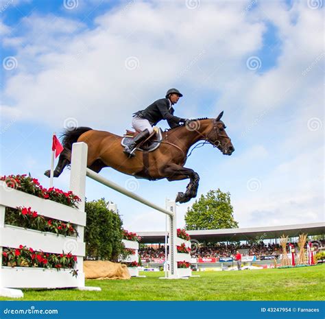 Horse jumping competition editorial stock image. Image of showjumping - 43247954