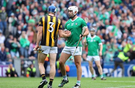 Champions Limerick win seven All-Star hurling awards with five for Kilkenny