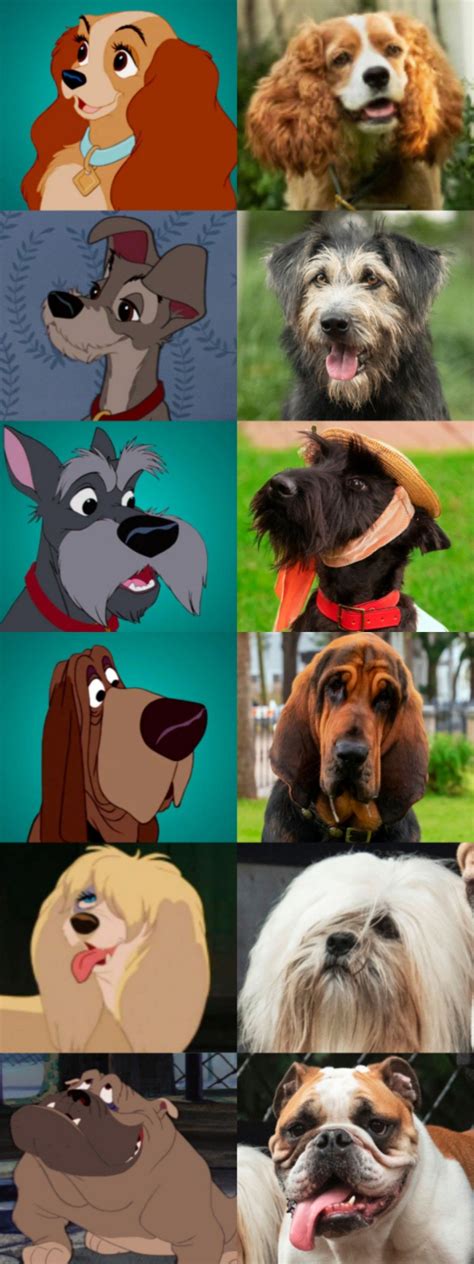 Pin by Coyote0620 on Disney dog in 2021 | Cute disney pictures, Cute disney wallpaper, Cute disney