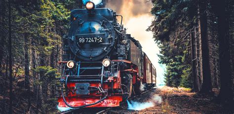 The 10 Best Train Rides in Georgia & Georgia Railways Museums