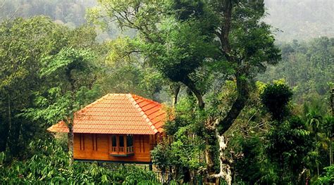 Marmalade Springs Wayanad Treehouse