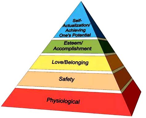 Maslow Hierarchy Of Needs Maslows Hierarchy Of Needs Advanced | Porn ...