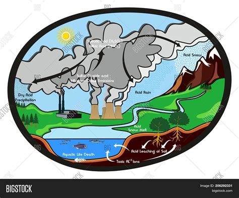 Acid Rain Infographic Image & Photo (Free Trial) | Bigstock