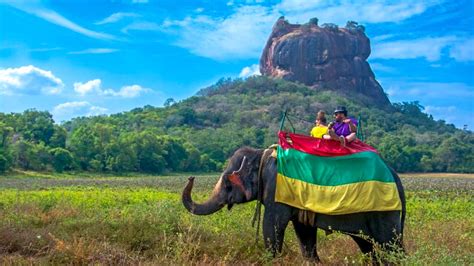 Elephant Ride Sigiriya | Deyo Tours