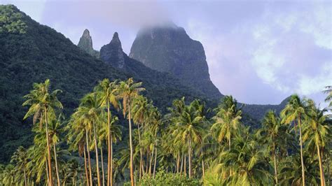 Moorea Wallpapers - Top Free Moorea Backgrounds - WallpaperAccess