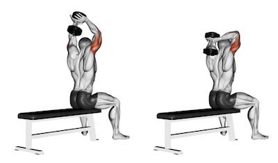 Exercise Database (Triceps6) - Seated Two Arm Overhead Dumbbell Triceps Extensions — Jase Stuart ...