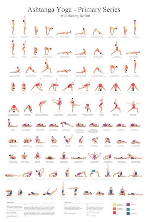 Ashtanga yoga serie 1 | YogaParaElEstress.Info