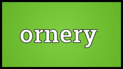 Ornery Meaning - YouTube