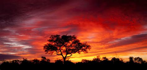 African Sunset Wallpapers - Top Free African Sunset Backgrounds ...