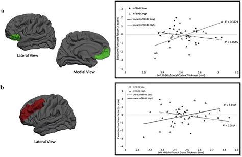 This figure is from Clark et al. (2018a, b) and depicts reduced regions ...