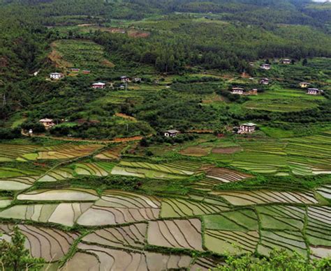 Paro Valley - Bhutan — Himalaya Visit