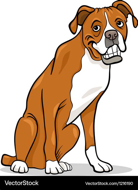 Boxer purebred dog cartoon Royalty Free Vector Image