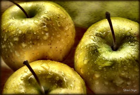 "Golden Apples" by Sheri Nye | Redbubble