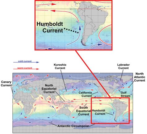 Marine Science: The Dynamic Ocean